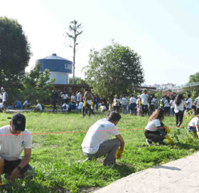 स्ट्यान्डर्ड चार्टर्ड बैंकले कीर्तिपुरमा रोप्यो ७०० भन्दा बढी विरुवा