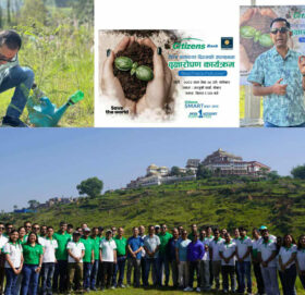 विश्व वातावरण दिवसको अवसरमा सिटिजन्स बैंकले चोभारमा रोप्यो १ हजार बढी विरुवा