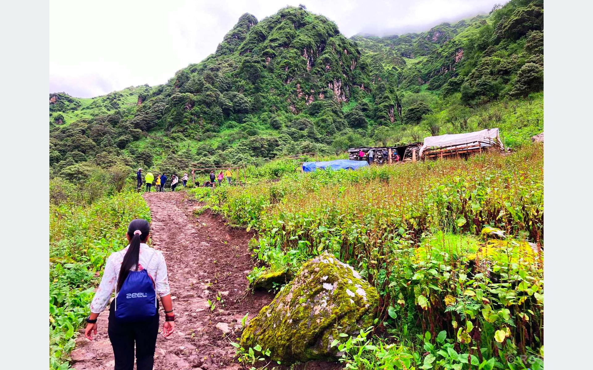 पर्यटक बढेपछि गोठमै आम्दानी’