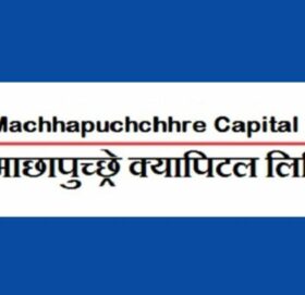 माछापुच्छ्रे क्यापिटलले ५ प्रतिशत नगद लाभांश दिने