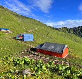 मोहनी ढोरपाटन’ पुग्नै सकस