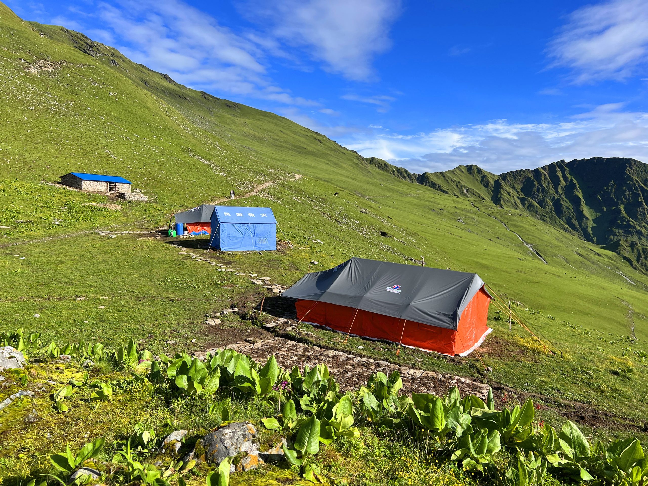 मोहनी ढोरपाटन’ पुग्नै सकस