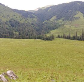 जुम्लाको धिमीचौर आन्तरिक पर्यटकीय गन्तव्य बन्दै