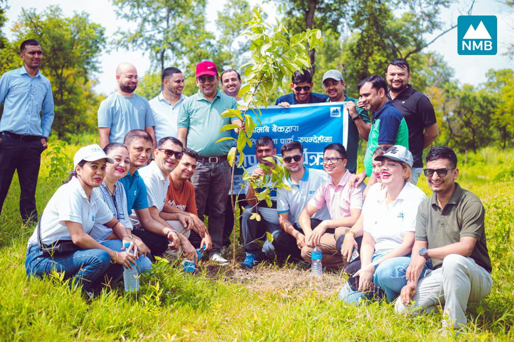 एनएमबि बैंकले रुपन्देहीको तिलोत्तमा पार्कमा गर्‍यो वृक्षारोपण