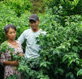 अकबरेखेती गरेका किसानलाई बजारको चिन्ता