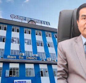 नेपाल बैंकको नाफा १३ हजार १७५ प्रतिशत बढ्यो