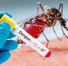 पन्ध्र दिनमा २० जनामा डेङ्गु सङ्क्रमण