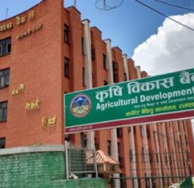 कृषि विकास बैंकको नाफा करिब ९७ प्रतिशत घट्यो