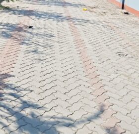 सडकमा ‘पेभर्स’ राख्ने क्रम बढ्दै