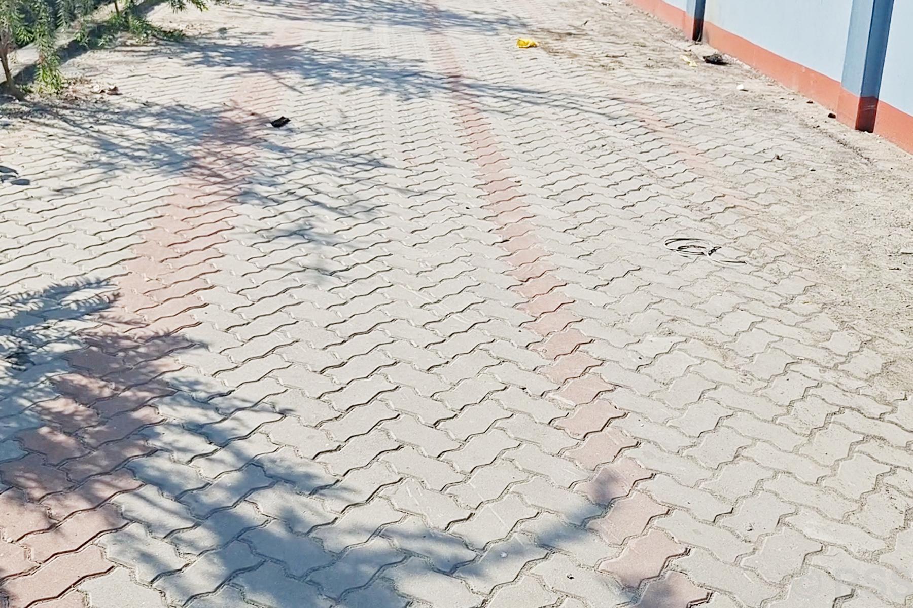 सडकमा ‘पेभर्स’ राख्ने क्रम बढ्दै