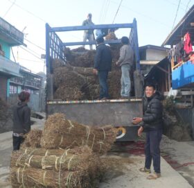 चिराइतो बिक्री नहुँदा किसान चिन्तित