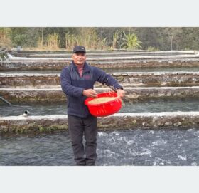 विकट गाउँमा रेन्बो ट्राउटपालन गर्दै पूर्वप्रहरी विकास