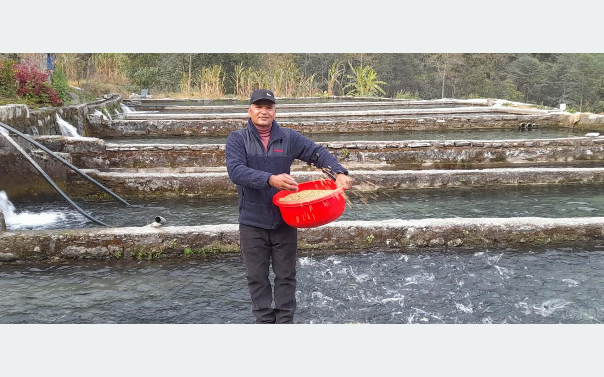 विकट गाउँमा रेन्बो ट्राउटपालन गर्दै पूर्वप्रहरी विकास